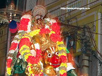 Srirangam Renganathar Kudhiri (Horse) Vaganam Photos