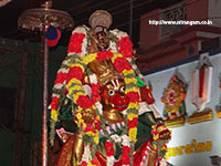 Srirangam Renganathar Kudhiri (Horse) Vaganam Photos