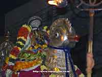 Srirangam Renganathar Theppam Hamsha Vahanam 2016 Photos