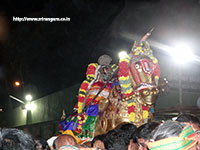 Srirangam Renganathar Kudhiri (Horse) Vaganam Photos
