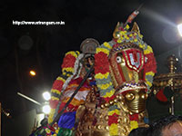 Srirangam Renganathar Kudhiri (Horse) Vaganam Photos