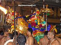 Srirangam Renganathar Kudhiri (Horse) Vaganam Photos