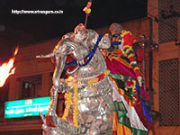 Srirangam Renganathar Yali Vaganam