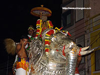 Srirangam Renganathar Garudalvar Vaganam