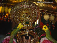 Srirangam RenganatharTheppam Photos