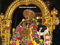 Srirangam RenganatharTheppam Photos
